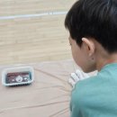 자매부식