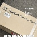 동해모비스자동차정비 | 간단한 정비는 스스로! 현대 기아 모비스부품몰
