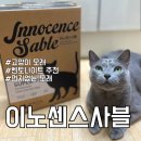 이노센스 | 고양이 모래 벤토나이트 추천 이노센스사블 먼지없는 모래