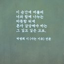 박영희「사는 이유」 이미지