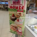 김포공항역 | 노티드 김포공항역 롯데몰 카페추천 + 노티드 할인방법 도넛 포장 후기