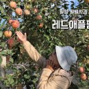 태지팜 네이버블로그
