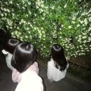 감천할매칼국수 | [후기]3박 4일 웃고 먹고 마시고 떠든 남해여행...다랭이마을, 시골할매막걸리, 스모프치킨, 송정솔바람...