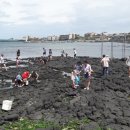 테우로26 이미지