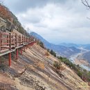 섬진강매화로 이미지