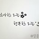 조이풀키즈 이미지