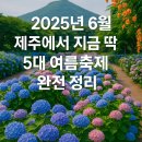 솔로몬PC | 2025년 6월, 제주에서 지금 딱 좋은 5대 여름축제 완전 정리!