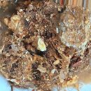 강릉우리집 | 우리 집 골칫거리, 꽉 막힌 하수구 뚫음 솔직 후기 feat. 강릉 하수구