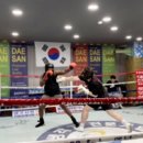 대산권투체육관 이미지