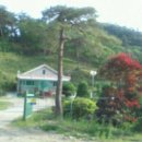 이원목장 Daum카페