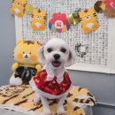 몽스파 네이버블로그