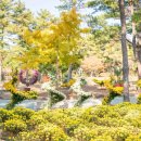 국화어린이공원 이미지