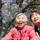 (효)건강복지용구 이미지