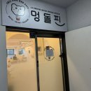 멍돌핀 이미지