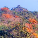 합자회사경남여객 이미지