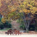 산머루마을 이미지