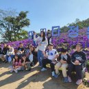 안좌초등학교 이미지