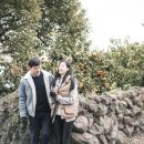 유수암마을 이미지