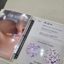 더쉐이프 | [여의도다이어트한약 후기] 노블쉐이프 프로그램으로 4주 집중 관리 받은 솔직 후기