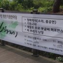 무제2007 이미지