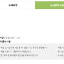 공룡게임랜드 이미지