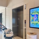 애견백화점 이미지