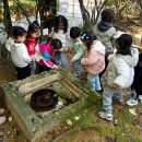 오금숲어린이집 이미지