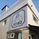 토실이네 애견 이미지