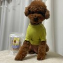 나두맘마 이미지