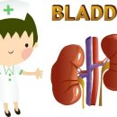 동대문구 정보화도서관 (시청각실) 이미지