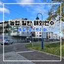 2023/ 1 [어린이 도시양봉 특강1]특별한 친구+ 꿀벌 | 농업 일반 해외연수 (독일, 오스트리아)