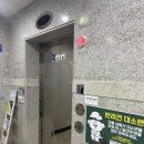 마리독 | 부산애견운동장 | 해운대애견카페 “스포독” 방문 후 솔직 후기