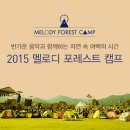 인디포레스트