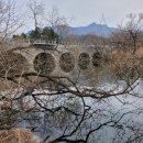 명동호프 이미지