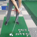 골프신지환 이미지