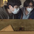 야생맥주 - 파주시 소리천로 25 | 야생맥주