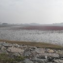 홀곶경로당 Daum카페