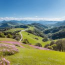 방아머리 이미지