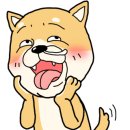 향성이름연구소