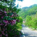 괴곡성벽길 이미지