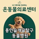 온동물의료센터 이미지
