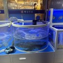 백산수산 이미지