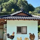 아담실비 네이버블로그
