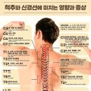 바비살롱 이미지