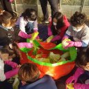 옥곡초등학교 이미지