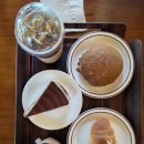 숲을 그리다 이미지