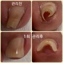리오네일 - 성남시 분당구 성남대로 30 | 리오네일