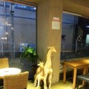 주커피(ZOO커피)