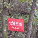 가나장묘