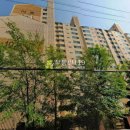 사임당로19길 19 이미지